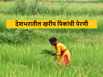 Agriculture News : देशभरात कोणत्या पिकाची किती लागवड? कुठल्या पिकाची सर्वाधिक लागवड? वाचा सविस्तर - Marathi News | Latest News Agriculture News Sowing statistics of kharif season crops from agriculture Department | Latest News at Lokmat.com Agriculture News : देशभरात कोणत्या पिकाची किती लागवड? कुठल्या पिकाची सर्वाधिक लागवड? वाचा सविस्तर - Marathi News | Latest News Agriculture News Sowing statistics of kharif season crops from agriculture Department | Latest News at Lokmat.com