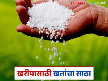 खरीप २०२५ हंगामासाठी खतांच्या संरक्षित साठ्याला मान्यता; कोणत्या खताचा किती साठा? - Marathi News | Approved protected stock of fertilizers for the Kharif 2025 season; How much stock of which fertilizer? | Latest News at Lokmat.com