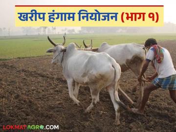 Kharif Season: खरीप पेरणीचे 'इतके' हेक्टरवर क्षेत्र प्रस्तावित! वाचा 'या' जिल्ह्याचे खरीप नियोजन सविस्तर - Marathi News | Kharif Season: latest news 'So many' hectares of Kharif sowing area proposed! Read the Kharif planning of 'this' district in detail | Latest News at Lokmat.com