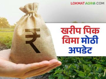 २०२४ खरीप हंगाम पिक विम्याचे पैसे लवकरच शेतकऱ्यांच्या खात्यावर येणार; सरकारने घेतला हा मोठा निर्णय - Marathi News | 2024 Kharif season crop insurance money will soon be deposited in farmers' accounts; Government takes this big decision | Latest News at Lokmat.com