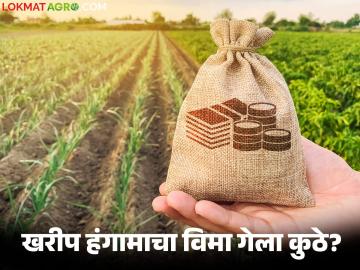 Pik Vima Yojana : खरीप गेला, रब्बी गेला… पण पीकविमा कुठे अडकला? वाचा सविस्तर - Marathi News | latest news Pik Vima Yojana: Kharif is gone, Rabi is gone… but where is crop insurance stuck? Read in detail | Latest News at Lokmat.com Pik Vima Yojana : खरीप गेला, रब्बी गेला… पण पीकविमा कुठे अडकला? वाचा सविस्तर - Marathi News | latest news Pik Vima Yojana: Kharif is gone, Rabi is gone… but where is crop insurance stuck? Read in detail | Latest News at Lokmat.com