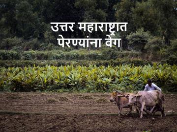 Monsoon: नाशिक जळगावमध्ये पाऊस, गिरणा खळाळली, पेरण्यांनाही आला वेग - Marathi News | Monsoon Kharif season sowing took speed in Nashik, Jalgaon | Latest News at Lokmat.com