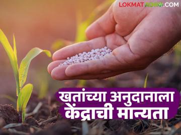 खरीप हंगामात वाजवी दरात खते मिळणार; केंद्राची एनबीएस अनुदानाला मान्यता - Marathi News | Central government approves NBS subsidy to provide fertilizers at reasonable rates during Kharif season | Latest News at Lokmat.com