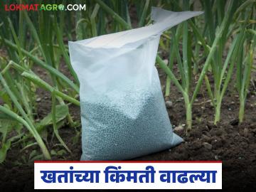 खतांचे दर वाढले, पहा कुठल्या खताची बॅग किती रुपयांनी वाढली, वाचा सविस्तर खतांचे दर वाढले, पहा कुठल्या खताची बॅग किती रुपयांनी वाढली, वाचा सविस्तर