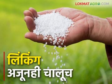 Fertilizer Linking : खत लिंकिंगबाबत कंपन्यांना कधी लावणार चाप? - Marathi News | Fertilizer Linking : When will action on companies regarding fertilizer linking? | Latest News at Lokmat.com Fertilizer Linking : खत लिंकिंगबाबत कंपन्यांना कधी लावणार चाप? - Marathi News | Fertilizer Linking : When will action on companies regarding fertilizer linking? | Latest News at Lokmat.com