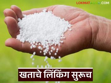 युरिया हवा असेल तर इतर खते घेण्याची शेतकऱ्यांना सक्ती; खत दुकानदारांकडून लिंकिंग सुरूच - Marathi News | Farmers forced to buy other fertilizers if they want urea; Linking by fertilizer shopkeepers continues | Latest News at Lokmat.com युरिया हवा असेल तर इतर खते घेण्याची शेतकऱ्यांना सक्ती; खत दुकानदारांकडून लिंकिंग सुरूच - Marathi News | Farmers forced to buy other fertilizers if they want urea; Linking by fertilizer shopkeepers continues | Latest News at Lokmat.com