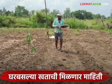 Agriculture News : कृषी विभागाचे मोबाइल ॲप; शेतकऱ्यांना घरबसल्या खत साठ्याची मिळणार माहिती वाचा सविस्तर - Marathi News | latest news Agriculture News: Agriculture Department's mobile app; Farmers will get information about fertilizer stocks from home, read in detail | Latest News at Lokmat.com