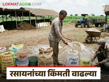 रसायनांच्या किंमती 15 ते 50 टक्क्यांनी वाढल्या, खरिपात खतांच्या किंमती वाढणार का? वाचा सविस्तर  - Marathi News | Latest News Prices of chemicals used for fertilizer production increased by 15 to 50 percent, read in detail | Latest News at Lokmat.com