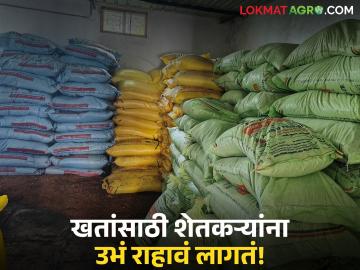 Agriculture News : खतांसाठी शेतकऱ्यांना नेहमी रांगेतच का उभे राहावं लागतं? वाचा सविस्तर  - Marathi News | Latest News Agriculture News Why do farmers always have to stand in queues for fertilizers? Read in detail | Latest News at Lokmat.com