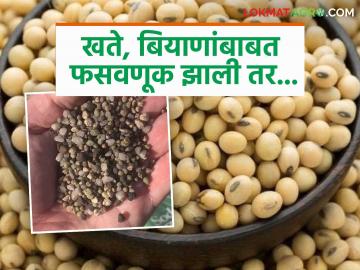 खते, बियाणे खरेदीत फसवणूक झाली तर कुठे दाद मागायची? जाणून घ्या सविस्तर - Marathi News | Where to seek redress if you are cheated in purchasing fertilizers and seeds? Find out in detail | Latest News at Lokmat.com