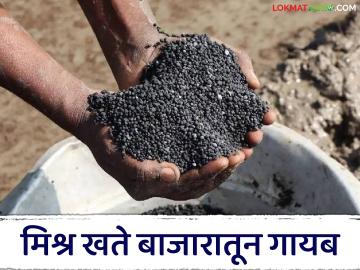 Agriculture News : 'डीएपी'चे दर स्थिर; पण इतर मिश्र खते बाजारातून गायब, वाचा सविस्तर  - Marathi News | Latest News Prices of 'DAP' stable; but other compound fertilizers disappear from market, read in detail | Latest News at Lokmat.com