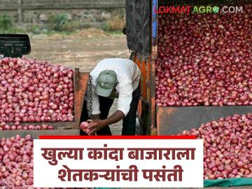नेवासा बाजार समितीत खुली कांदा खरेदी सुरु; वाचा पहिल्याच दिवशी प्रतिक्विंटल काय मिळाला दर? - Marathi News | Open onion procurement begins at Nevasa Market Committee; Read what price was obtained per quintal on the first day? | Latest News at Lokmat.com