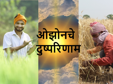 किकुलॉजी : हवामान सजग व्हायचेय, तर ओझोनच्या अद्भुत इलेक्ट्रॉनिक संरचनेची माहिती हवीच - Marathi News | world ozone day : farmers must aware of ozone electron revels prof kirankumar johare in kikulogy | Latest News at Lokmat.com