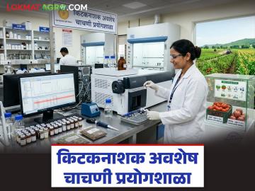 नाशिक जिल्ह्यातील 'या' तालुक्यात उभारणार किटकनाशक अवशेष चाचणी प्रयोगशाळा, वाचा सविस्तर  - Marathi News | Latest news Pesticide residue testing laboratory to be set up in niphad taluka of Nashik district | Latest News at Lokmat.com
