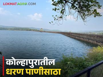 धरण क्षेत्रात धुवाधार पाऊस; कोल्हापूर जिल्ह्यातील कोणत्या धरणात वाढला किती पाणीसाठा? - Marathi News | Heavy rain in the dam area; How much water storage has increased in which dam in Kolhapur district? | Latest News at Lokmat.com