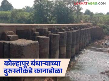 Kolhapuri Dam : कोल्हापुरी बंधाऱ्यातून किती हेक्टर क्षेत्रावर सिंचन; कोट्यवधींच्या खर्चाचे काय? वाचा सविस्तर - Marathi News | How many hectares of area irrigated from Kolhapuri dam in yavatmal | Latest News at Lokmat.com Kolhapuri Dam : कोल्हापुरी बंधाऱ्यातून किती हेक्टर क्षेत्रावर सिंचन; कोट्यवधींच्या खर्चाचे काय? वाचा सविस्तर - Marathi News | How many hectares of area irrigated from Kolhapuri dam in yavatmal | Latest News at Lokmat.com