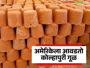 अमेरिकेला आवडणाऱ्या कोल्हापुरी गुळाच्या निर्यातीवर टॅरिफमुळे कसा होणार परिणाम? - Marathi News | How will the tariff affect the export of Kolhapuri jaggery, which is popular with the US? | Latest News at Lokmat.com