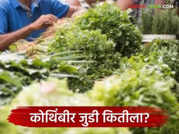 Kothimbir Market : कोथिंबीर जुडी 75 रुपये, तर मेथी जुडीला 50 रुपये दर, तुमच्या जवळच्या मार्केटला काय भाव?  - Marathi News | Latest news Vegetbale Market Coriander costs Rs 75 per piece, while fenugreek costs Rs 50 per piece | Latest News at Lokmat.com