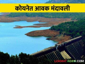 Koyna Dam पावसाचा जोर ओसरला, कोयनेत आलं किती पाणी - Marathi News | Koyna Dam: The rain subsided, how much water came in the koyna dam | Latest News at Lokmat.com