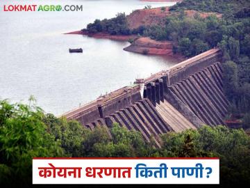 कोयना धरणातील पाणीसाठ्यात झपाट्याने वाढ; धरणात झाला किती पाणीसाठा? - Marathi News | Rapid increase in water storage in Koyna Dam; How much water is stored in the dam? | Latest News at Lokmat.com