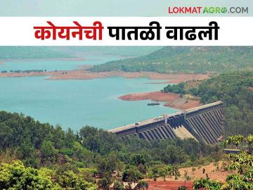 Koyna Dam नवजाला १०२ मिलिमीटर पाऊस, कोयनेच्या पाणीसाठ्यात वाढ - Marathi News | Koyna Dam: 102 mm rain at Navja, increase in Koyna water storage | Latest News at Lokmat.com