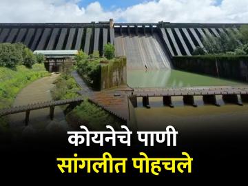 कोयनेतून सांगलीला तीन टीएमसी पाणी सोडणार - Marathi News | Three TMC of water will be released from Koyna dam to Sangli | Latest News at Lokmat.com
