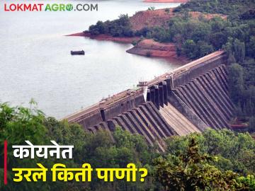 पाण्याची मागणी वाढली; कोयनेच्या आपत्कालीन द्वारमधून सोडले पाणी - Marathi News | increased demand for water; Water released from koyna dam emergency exit door | Latest News at Lokmat.com