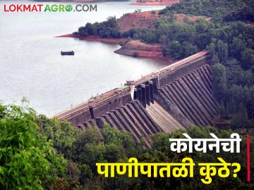 Koyna Dam Water; कोयना धरणातून सांगलीच्या सिंचनासाठी पाणी सुरूच.. किती उरला पाणीसाठा - Marathi News | Koyna Dam Water; Water discharge to irrigation Sangli from Koyna Dam.. How much water is left | Latest News at Lokmat.com