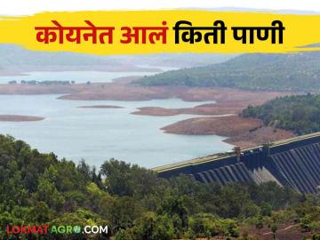 Koyna Water Level: कोयना धरणात चोवीस तासांत आलं किती टीएमसी पाणी - Marathi News | Koyna Water Level: how much TMC water came in Koyna Dam in 24 hours | Latest News at Lokmat.com