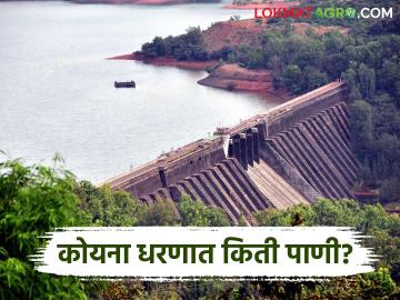 अवकाळी पावसामुळे धरणांत पाण्याची आवक वाढली; कोयना धरणात किती पाणी? - Marathi News | Water inflow into dams increased due to unseasonal rains; How much water is in Koyna Dam? | Latest News at Lokmat.com