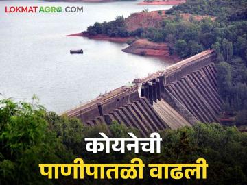 Koyna Dam Water: कोयना धरणात मागील २२ दिवसांत आलं किती टीएमसी पाणी - Marathi News | Koyna Dam Water: How much TMC water has come into Koyna Dam in the last 22 days | Latest News at Lokmat.com