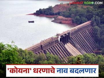 कोयना धरणाच्या जलाशयाचे नाव बदलणार; प्रस्ताव सादर करण्याच्या सूचना - Marathi News | Koyna Dam reservoir to be renamed; Instructions to submit proposals | Latest News at Lokmat.com कोयना धरणाच्या जलाशयाचे नाव बदलणार; प्रस्ताव सादर करण्याच्या सूचना - Marathi News | Koyna Dam reservoir to be renamed; Instructions to submit proposals | Latest News at Lokmat.com