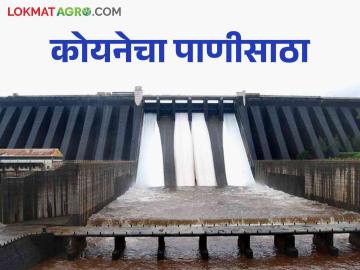 Koyna Dam Water Level : यंदाच्या हंगामात दमदार पाऊस कोयना, वारणेत किती पाणी - Marathi News | Koyna Dam Water Level: Heavy rain this season, how much water in Koyna, Varana | Latest News at Lokmat.com
