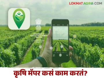 Krishi Mapper : कृषि मॅपर अँप कसं आणि काय काम करतं? जाणून घ्या सविस्तर  - Marathi News | Latest News agriculture News How and what does the krishi Mapper app work Know in detail  | Latest News at Lokmat.com
