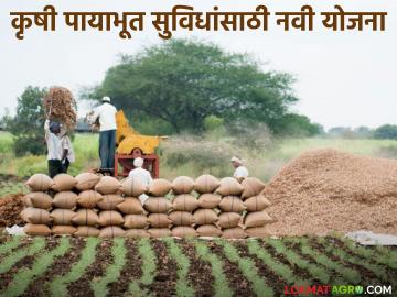 शेतीमध्ये भांडवली गुंतवणूक वाढण्यासाठी या योजनेतून २५ हजार कोटी रुपयांची तरतूद; वाचा सविस्तर - Marathi News | Provision of Rs 25,000 crore from this scheme to increase capital investment in agriculture; read in details | Latest News at Lokmat.com