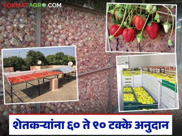 कृषी विभागाच्या 'या' बारा योजनांसाठी शेतकऱ्यांना मिळतंय ६० ते ९० टक्के अनुदान; वाचा सविस्तर - Marathi News | Farmers are getting 60 to 90 percent subsidy for 'these' twelve schemes of the Agriculture Department; Read in detail | Latest News at Lokmat.com कृषी विभागाच्या 'या' बारा योजनांसाठी शेतकऱ्यांना मिळतंय ६० ते ९० टक्के अनुदान; वाचा सविस्तर - Marathi News | Farmers are getting 60 to 90 percent subsidy for 'these' twelve schemes of the Agriculture Department; Read in detail | Latest News at Lokmat.com