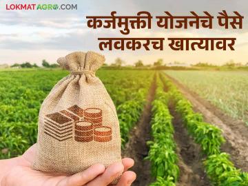 महात्मा जोतिराव फुले शेतकरी कर्जमुक्ती योजने अंतर्गत प्रोत्साहनपर लाभ मिळण्यास सुरवात वाचा सविस्तर - Marathi News | Incentive benefits under Mahatma Jyotirao Phule Shetkari loan Debt Relief Yojana started | Latest News at Lokmat.com