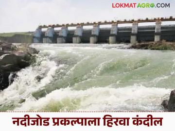 River Linking Project : नदीजोड प्रकल्प व्यवहार्य; मराठवाड्याला मिळणार 'इतके' टीएमसी पाणी - Marathi News | latest news River Linking Project: River linking project feasible; Marathwada will get 'this much' TMC water | Latest News at Lokmat.com