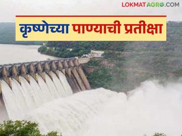 Krishna River Project : कृष्णेचे पाणी कधी येणार? टप्पा ६ची निविदा प्रक्रियाच सुरू नाही वाचा सविस्तर - Marathi News | latest news Krishna River Project: When will Krishna water come? Tender process for Phase 6 has not started yet, read in detail | Latest News at Lokmat.com