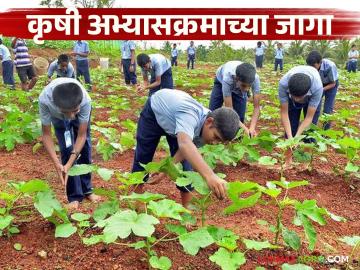 Agriculture Courses : कृषी शिक्षणाकडे कल घटतोय, राज्यात 'ॲग्री' अभ्यासक्रमात 18 टक्के जागा रिक्त - Marathi News | Latest News agriculture courses 18 percent seats in 'Agri' course are vacant in maharashtra | Latest News at Lokmat.com Agriculture Courses : कृषी शिक्षणाकडे कल घटतोय, राज्यात 'ॲग्री' अभ्यासक्रमात 18 टक्के जागा रिक्त - Marathi News | Latest News agriculture courses 18 percent seats in 'Agri' course are vacant in maharashtra | Latest News at Lokmat.com
