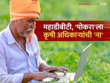 Agriculture News : महाडीबीटी, 'पोकरा'ला कृषी अधिकाऱ्यांची ना; काय आहे कारण जाणून घ्या सविस्तर - Marathi News | latest news Agriculture News: MahaDBT, 'Pokra' for agricultural officers; What is the reason, know in detail | Latest News at Lokmat.com