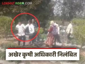 शेतकऱ्याला बुटाने मारहाण; अखेर कृषी अधिकारी निलंबित वाचा सविस्तर - Marathi News | latest news Farmer beaten with shoe; Agriculture officer finally suspended | Latest News at Lokmat.com