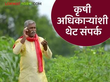 आता शेतकरी थेट कृषी अधिकाऱ्यांना कॉल करू शकतील, कृषी विभागात नवा निर्णय - Marathi News | Latest news Now farmers will be able to call agriculture officers directly, new decision in agriculture department | Latest News at Lokmat.com आता शेतकरी थेट कृषी अधिकाऱ्यांना कॉल करू शकतील, कृषी विभागात नवा निर्णय - Marathi News | Latest news Now farmers will be able to call agriculture officers directly, new decision in agriculture department | Latest News at Lokmat.com