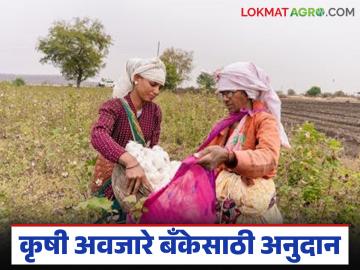 कृषी अवजारे बँकेसाठी 60 टक्क्यांपर्यंत अनुदान, महिला बचत गटांना प्राधान्य, इथे करा अर्ज - Marathi News | Latest news Up to 60 percent subsidy for Agricultural Equipment Bank for women's self-help groups, appeal to apply | Latest News at Lokmat.com कृषी अवजारे बँकेसाठी 60 टक्क्यांपर्यंत अनुदान, महिला बचत गटांना प्राधान्य, इथे करा अर्ज - Marathi News | Latest news Up to 60 percent subsidy for Agricultural Equipment Bank for women's self-help groups, appeal to apply | Latest News at Lokmat.com