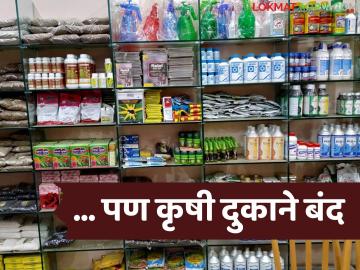 Agriculture Shop Strike : बियाणे-अभावी मिरची लागवड ठप्प? शेतकऱ्यांची धावपळ सुरू - Marathi News | latest news Agriculture Shop Strike: Chilli cultivation halted due to lack of seeds? Farmers' strike continues | Latest farming-ideas News at Lokmat.com