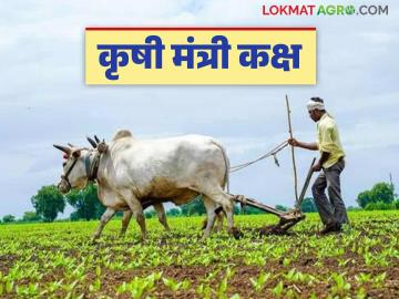 Agriculture News : प्रत्येक जिल्ह्यात 'कृषी मंत्री कक्ष', कसे असेल कामकाज, वाचा सविस्तर  - Marathi News | Latest News Agriculture News Agriculture Minister's War Room' in every district, how will it work, read in detail | Latest News at Lokmat.com
