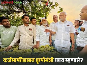 Agriculture News : कर्जमाफीबाबत निर्णय वरिष्ठच ठरवतील, कृषिमंत्री कोकाटेंची प्रतिक्रिया  - Marathi News | Latest News Shetkari Karjmafi Decisions regarding loan waiver will be taken by cm, dcm, says Agriculture Minister Kokate | Latest News at Lokmat.com