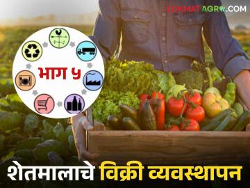Agriculture News : कृषी मूल्य साखळी यशस्वीतेसाठी अनेक घटकांच्या 'समन्वया'ची गरज, वाचा सविस्तर  - Marathi News | Latest news Agriculture News The need for 'coordination' of many factors for success of agricultural value chain | Latest News at Lokmat.com