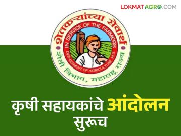 कृषी सहायकांच्या मागण्या मान्य न झाल्यास १५ मेपासून पूर्ण काम बंद आंदोलनाचा इशारा - Marathi News | Warning of complete work stoppage from May 15 if demands of agricultural assistants are not complete | Latest News at Lokmat.com कृषी सहायकांच्या मागण्या मान्य न झाल्यास १५ मेपासून पूर्ण काम बंद आंदोलनाचा इशारा - Marathi News | Warning of complete work stoppage from May 15 if demands of agricultural assistants are not complete | Latest News at Lokmat.com