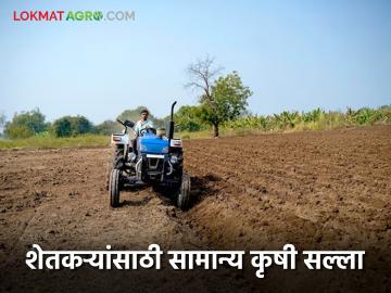 किती पाऊस झाल्यावर पेरणी कराल? आंतरपिके कोणती घ्याल? वाचा सविस्तर  - Marathi News | Latest news General agricultural advisory for farmers from Agriculture Department | Latest News at Lokmat.com